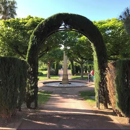 Plein Sud Sur La Terrasse Piscine A * Antibes