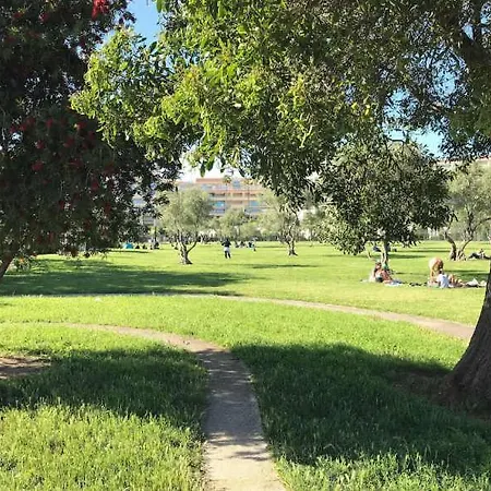 Plein Sud Sur La Terrasse Piscine A